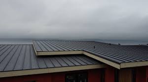 Roof Coating Services in Mountain Grove, MO